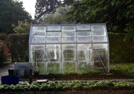 Information and Advice on Home Garden Greenhouses Image
